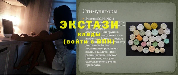 тгк Каменка