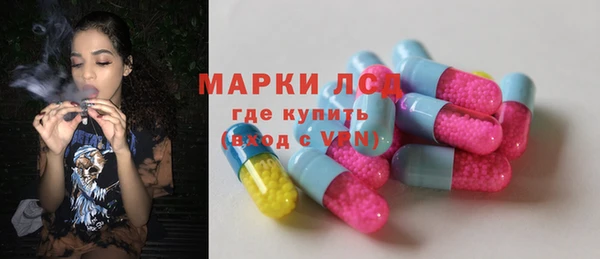 тгк Каменка