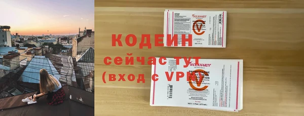 гидра Карпинск