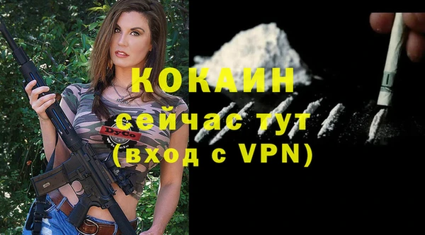 тгк Каменка