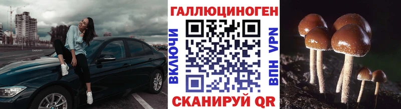 Купить закладки  Дмитриев  Галлюциногенные грибы мицелий 