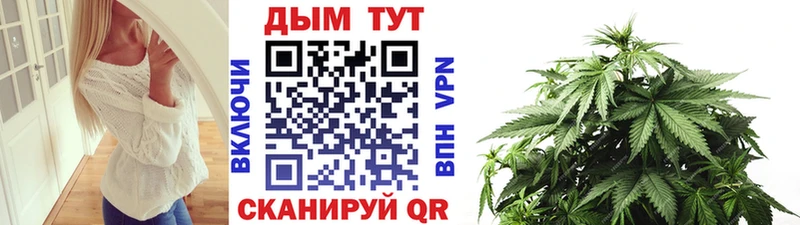 Купить  Дмитриев  Конопля гибрид 